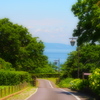 海へつづく道