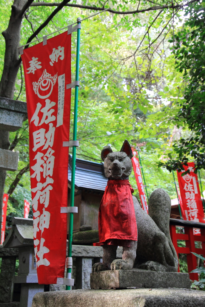 鎌倉　ふらり　　～佐助稲荷神社　古の浪漫～