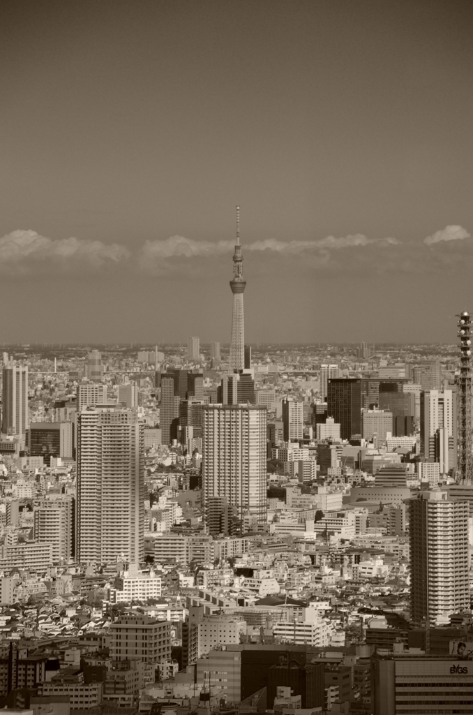 東京砂漠