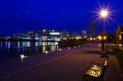 yokosuka  -shioiri night-