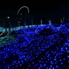 ひかり。。流れる。
