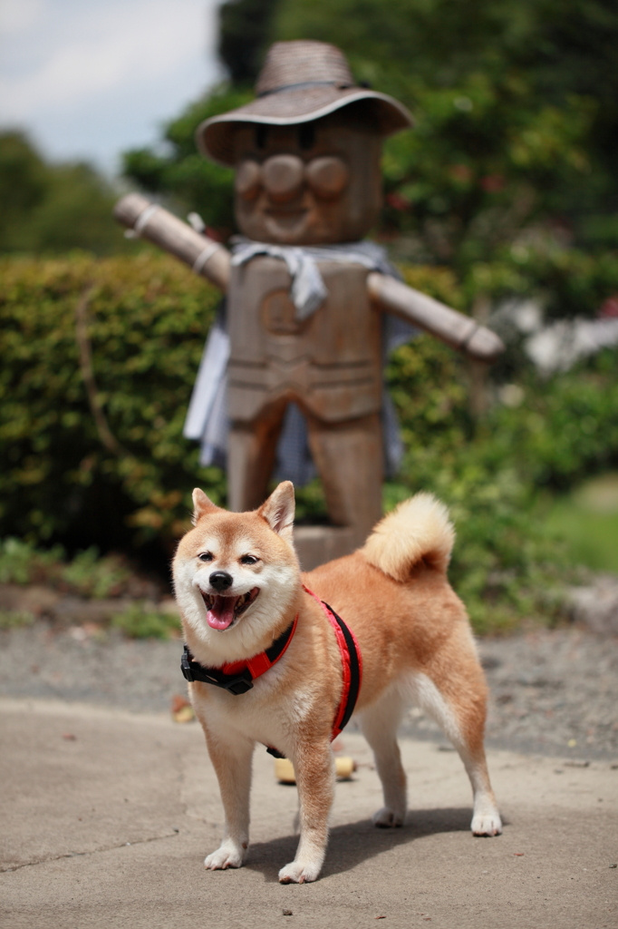 記念写真