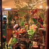 motomachi snap!  vol.2  flower shop