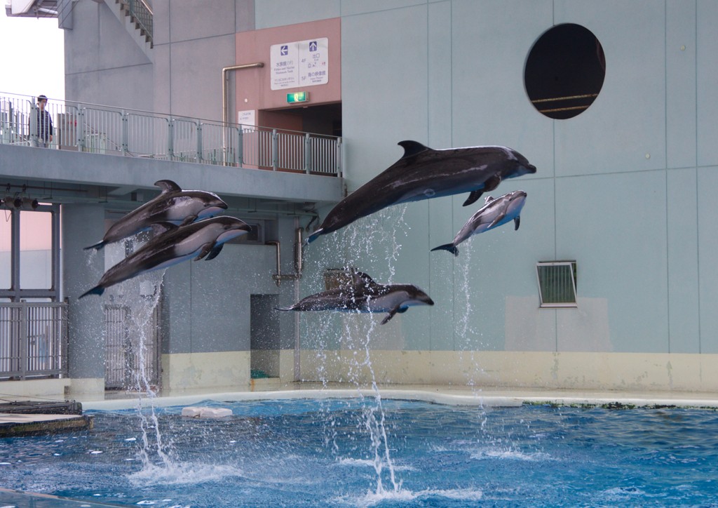 JUMP!