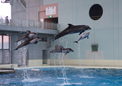 JUMP!