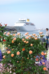 薔薇と客船