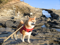 夕日に向かって　in 城ケ島