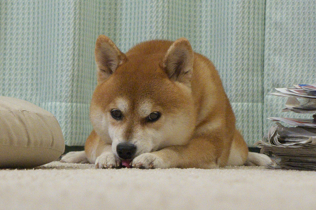 つまんないな～