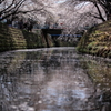 さくら川