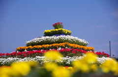 flower tower