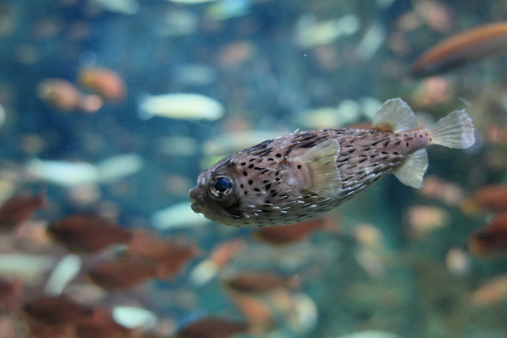 機嫌は悪くない？？