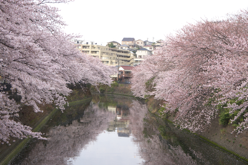 from oookagawa
