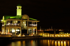 The pier of night 