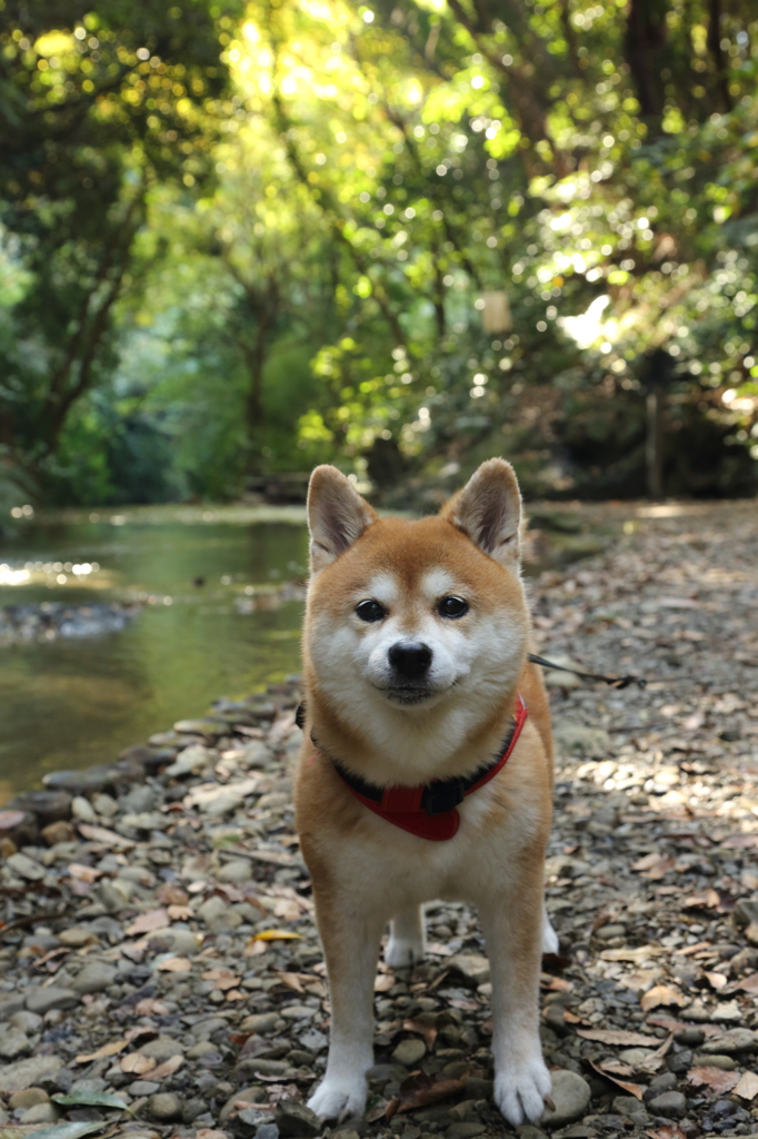リーダー　in nature 