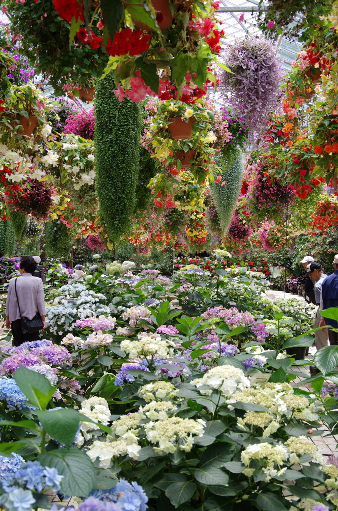 すべてが。。夢の中のお花畑。