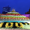 Flower Garden　Night time