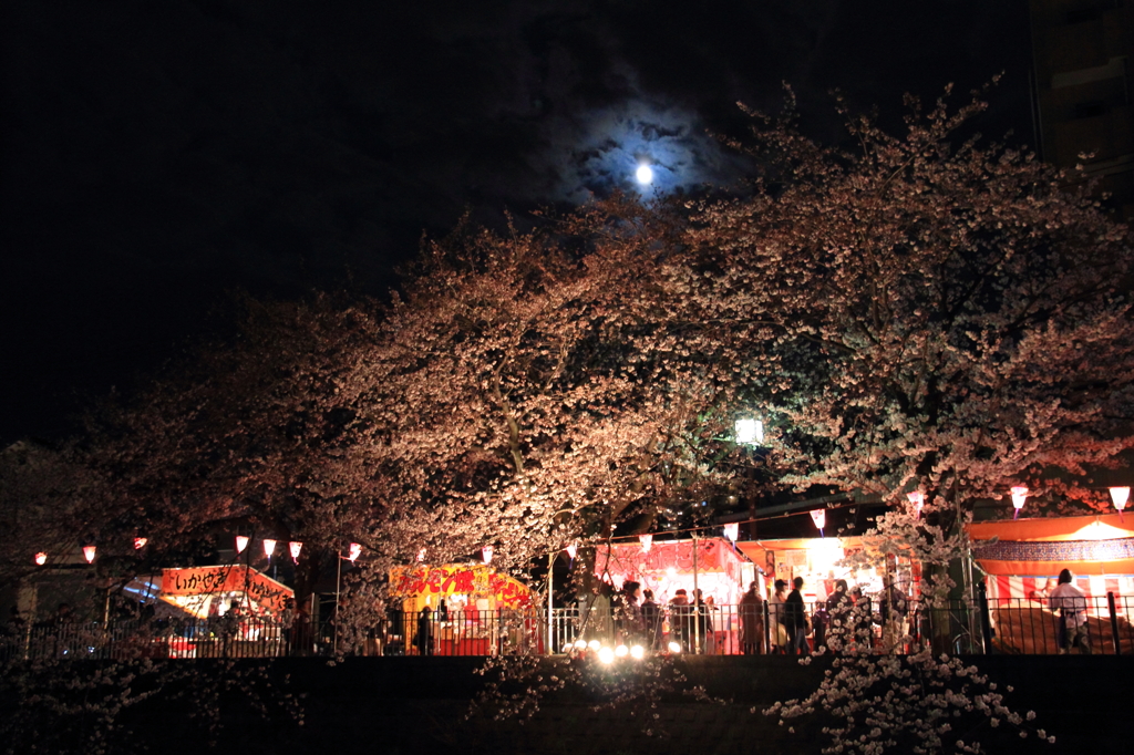 おぼろ月夜