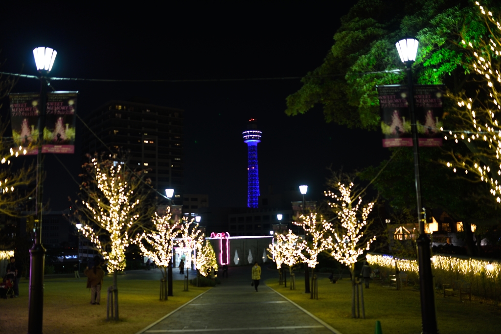 Yokohama feel  -to the tower-