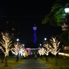 Yokohama feel  -to the tower-