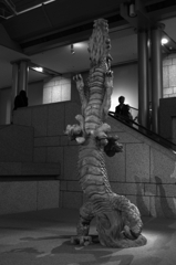 登り竜