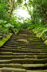 鎌倉　ふらり　～瑞泉寺　壱　古の道～