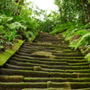 鎌倉　ふらり　～瑞泉寺　壱　古の道～