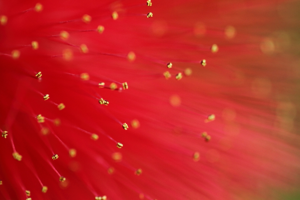 Explosion