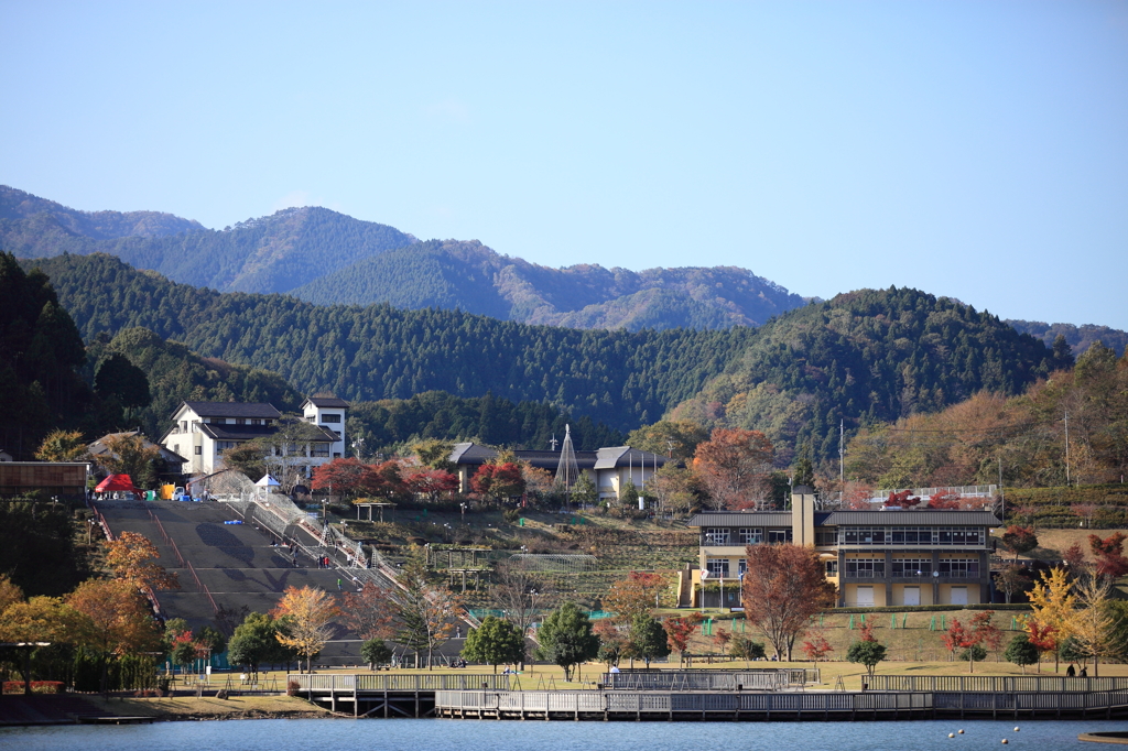 秋風の宮ヶ瀬　　-湖畔エリア　色づく木々とクリスマス準備-