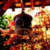 鎌倉　ふらり　　～海蔵寺　灼熱～