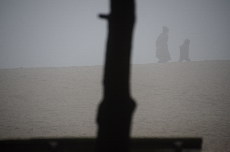 foggy day