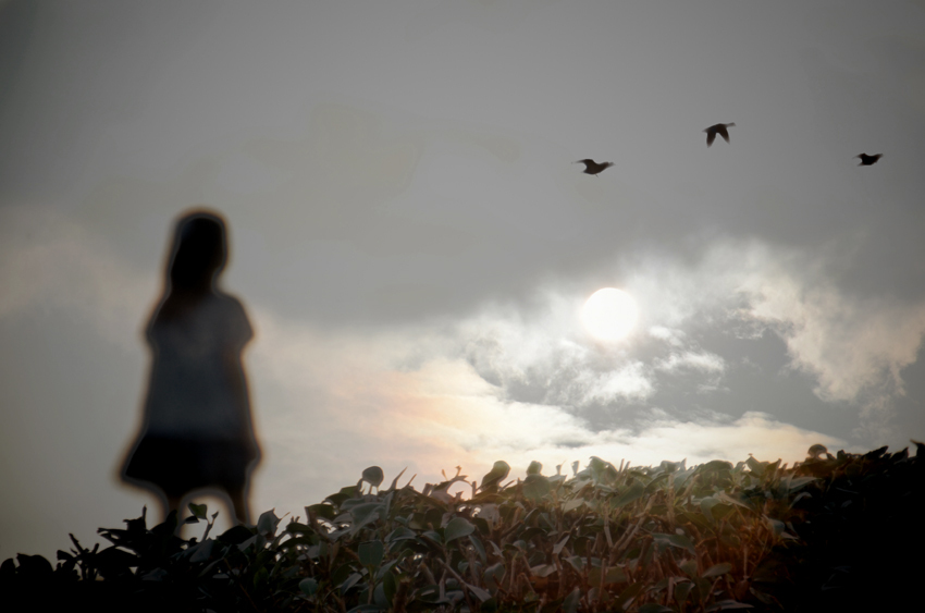 untitled