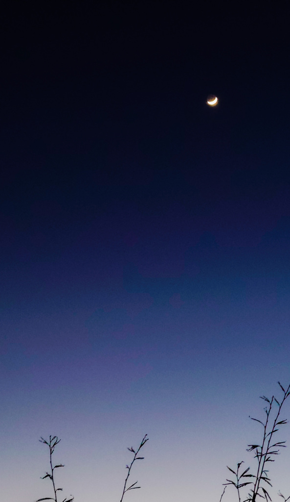 PSX_20210215_201237