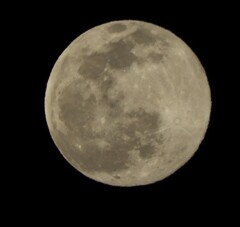 Wolf moon