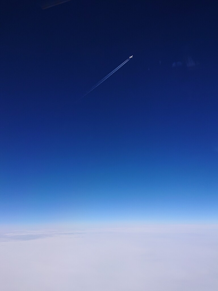 DSC_1192