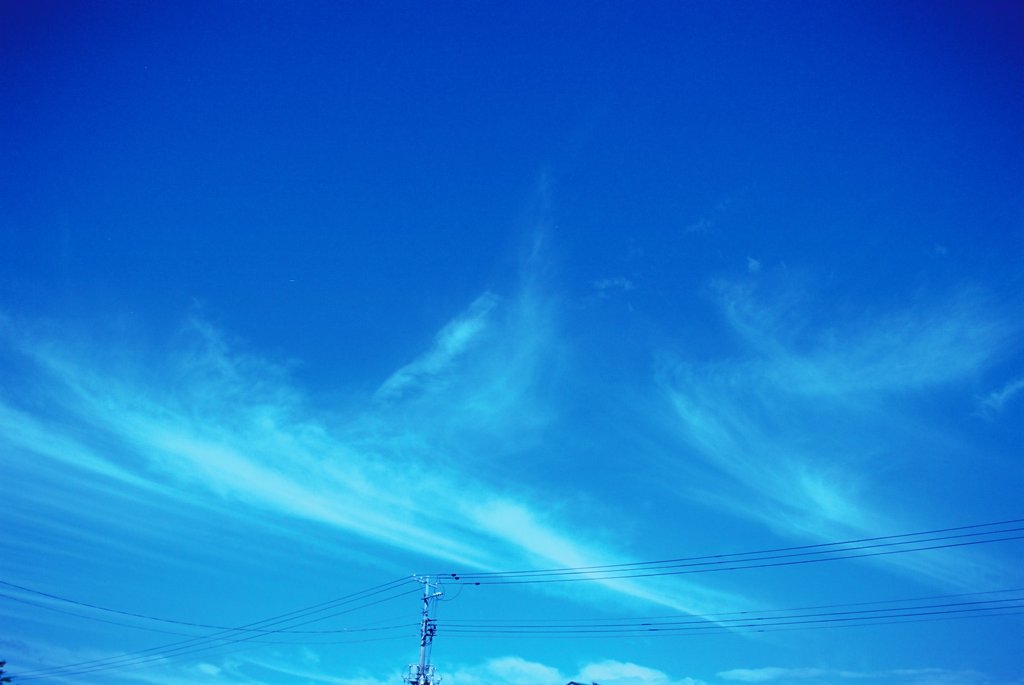 FH020009