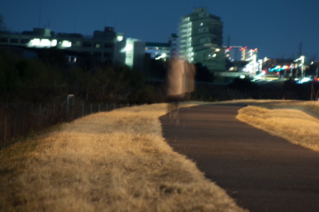 夜の散歩