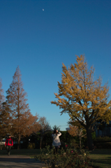 月と銀杏と女性と