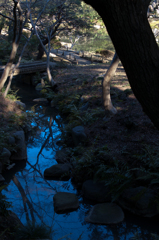 水面にアオゾラ