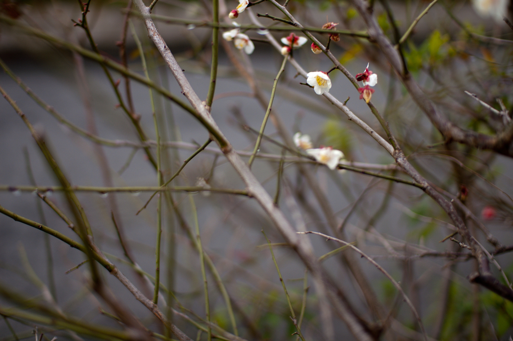 次の季節の足音