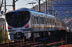 Urban Network