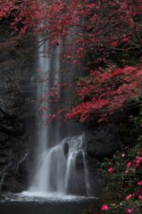 紅流