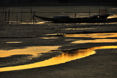 Gold Line