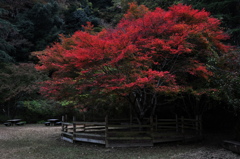紅の間