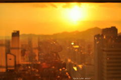 Now~ I can see myself.