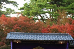 　彩色