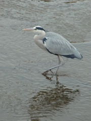 R0010071