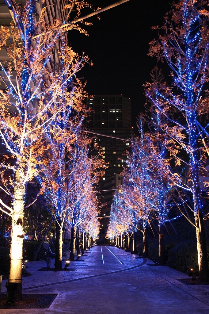 イルミネーション