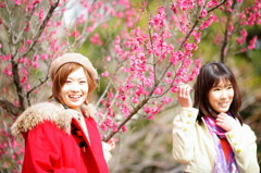 花よりお姉さん