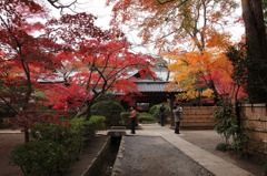 平林寺の紅葉