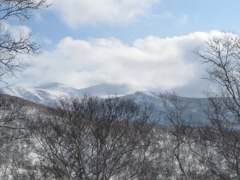 シャクナゲ岳